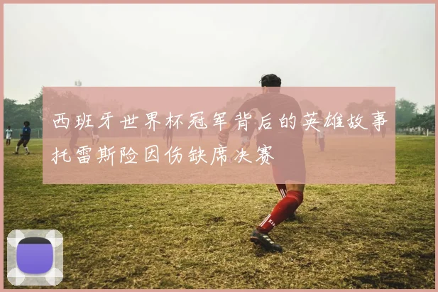 西班牙世界杯冠军背后的英雄故事托雷斯险因伤缺席决赛